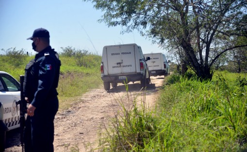 La SEDENA  informó que verificará que se otorguen los beneficios que por ley correspondan a sus derechohabientes. La Comisión Investigadora y Dictaminadora de Accidentes Aéreos de esta Secretaría y la Inspección y Contraloría General del Ejército y Fuerza Aérea, realizarán los peritajes correspondientes para determinar las posibles causas que originaron el evento. 