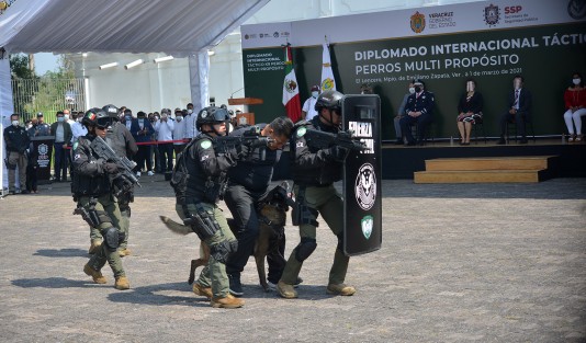 Durante 45 días y 298 horas serán impartidas 11 asignaturas, validadas por la Asociación Internacional de Formación y Capacitación de Adiestradores de Perros (AIFCA), mediante las cuales los efectivos adquirirán habilidades en la formación de binomios para detección de narcóticos, artefactos explosivos, búsqueda de personas, guarda y protección, intervención táctica y proximidad ciudadana. 