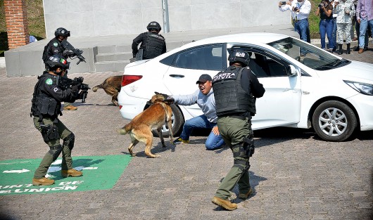 Durante 45 días y 298 horas serán impartidas 11 asignaturas, validadas por la Asociación Internacional de Formación y Capacitación de Adiestradores de Perros (AIFCA), mediante las cuales los efectivos adquirirán habilidades en la formación de binomios para detección de narcóticos, artefactos explosivos, búsqueda de personas, guarda y protección, intervención táctica y proximidad ciudadana. 
