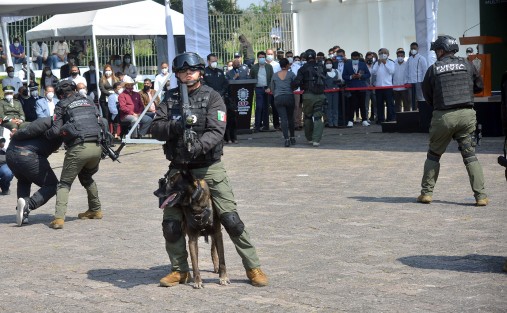 Durante 45 días y 298 horas serán impartidas 11 asignaturas, validadas por la Asociación Internacional de Formación y Capacitación de Adiestradores de Perros (AIFCA), mediante las cuales los efectivos adquirirán habilidades en la formación de binomios para detección de narcóticos, artefactos explosivos, búsqueda de personas, guarda y protección, intervención táctica y proximidad ciudadana. 