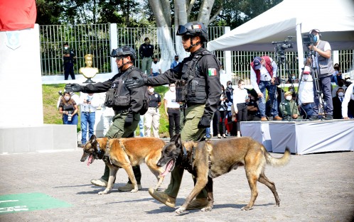 Durante 45 días y 298 horas serán impartidas 11 asignaturas, validadas por la Asociación Internacional de Formación y Capacitación de Adiestradores de Perros (AIFCA), mediante las cuales los efectivos adquirirán habilidades en la formación de binomios para detección de narcóticos, artefactos explosivos, búsqueda de personas, guarda y protección, intervención táctica y proximidad ciudadana. 