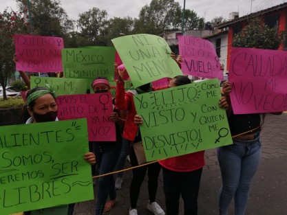 Un grupo de mujeres de los municipios de Xalapa y Veracruz Puerto, marcharon hacia el centro de Xalapa, pidiendo justicia por el maltrato y agresiones de que fuera víctima Guillermina, ex esposa del ex secretario de Gobierno, Rogelio <em>N</em>.  
