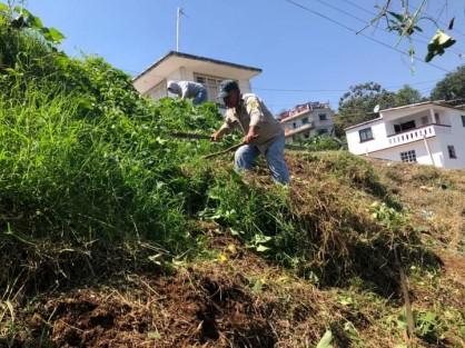 Trabajadores de Servicios Generales del ayuntamiento de Teocelo realizan trabajos de limpieza en la cabecera municipal, con el fin de contar con espacios públicos limpios y libres de basura, además continúan apoyando en actividades de Obra Pública y servicios a la ciudadanía.

