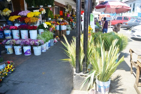 Por su parte los locatarios del mercado venden la palma por rollo  la cual es utilizada por los artesanos quienes la transforman en cruces, cristos y otras cosas. El costo del rollo osila en los 250 pesos.