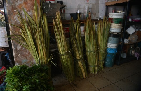 Por su parte los locatarios del mercado venden la palma por rollo  la cual es utilizada por los artesanos quienes la transforman en cruces, cristos y otras cosas. El costo del rollo osila en los 250 pesos.