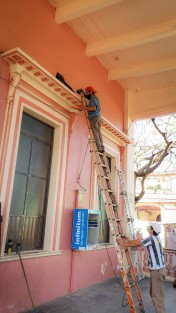 Continúan las jornadas de limpieza y mantenimiento en espacios públicos del municipio de Teocelo; trabajadores de Parques y Jardines realizan limpieza y mantenimiento en Palacio Municipal y Parque Revolución, con el objetivo de brindar una mejor imagen y embellecer nuestro centenario parque. 