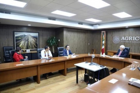 A través de redes sociales, el Gobernador Cuitláhuac García, informó que en cumplimiento de los cambios a la Ley Ganadera para el estado recientemente aprobada por el Congreso, han iniciado los trámites a que obligan los transitorios de dicho decreto.