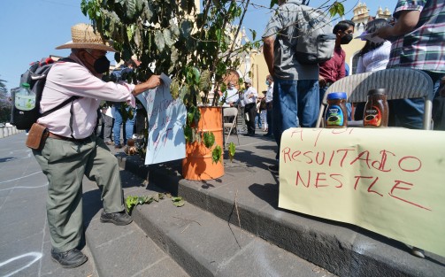 Los productores dijeron que el actual gobierno no ha implementado un plan estratégico de atención a la producción de café, pues no se trata de otorgar dinero, sino de implementar políticas para rescatar la cafeticultura.  