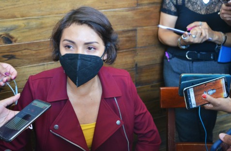 Araucaria Mendoza aclaró que no tuvo ninguna participación en la supuesta marcha negra a que se había convocado para este lunes,  y se quejó de haber sido exhibida por instituciones de gobierno y por una reportera en redes sociales como miembro de grupos feministas a lo cuales negó rotundamente pertenecer.