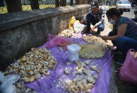 Productores de ajo de Tlacolulan y de la comunidad de Omeapan vendieron sus productos a un costado de la Normal Veracruzana,  flores, ajos chinos, machos, hembras y hasta cuarzos se pueden adquirir hasta las cuatro de la tarde en este lugar.