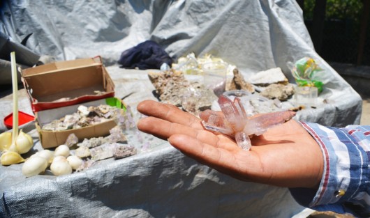 Productores de ajo de Tlacolulan y de la comunidad de Omeapan vendieron sus productos a un costado de la Normal Veracruzana,  flores, ajos chinos, machos, hembras y hasta cuarzos se pueden adquirir hasta las cuatro de la tarde en este lugar.