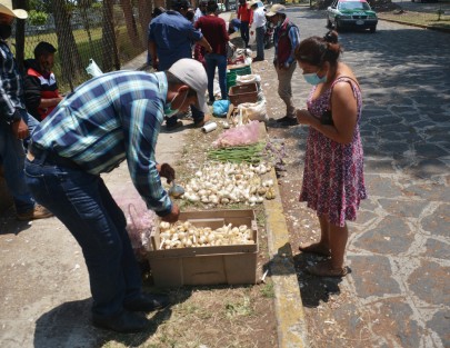 Con precios directos y económicos, los productos se dijeron agradecidos por la respuesta obtenida por parte de los xalapeños. El kilo de ajo está desde los 50 a 70 pesos. Desafortunadamente en esta ocasión la promoción de la venta no fue tan amplia como lo ha sido para comerciantes de otros productos.