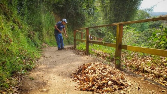Protección Civil Teocelo en coordinación con las distintas áreas del H. Ayuntamiento inician estrategia de prevención y jornadas de mantenimiento en el mirador de Santa Rosa, Sendero del Ocelote, andadores y espacios públicos de la comunidad.