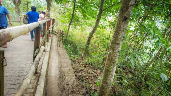 Protección Civil Teocelo en coordinación con las distintas áreas del H. Ayuntamiento inician estrategia de prevención y jornadas de mantenimiento en el mirador de Santa Rosa, Sendero del Ocelote, andadores y espacios públicos de la comunidad.