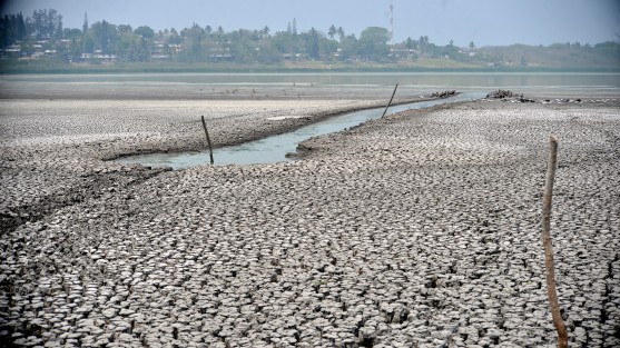 Un grupo de reporteros y fotógrafos constataron lo reportado desde hace semanas en medios locales; habitantes de Tinajitas, municipio de Actopan, están sumamente preocupados por la sequía de la laguna El Farallón que con los intensos calores de las últimas semanas se agravó  aún más; el problema ambiental ha dejado un paraje apocalíptico nunca antes visto por los habitantes del lugar.

