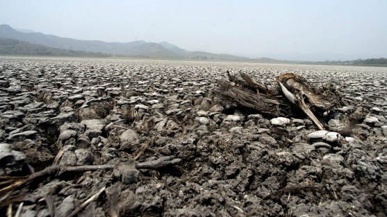 Un grupo de reporteros y fotógrafos constataron lo reportado desde hace semanas en medios locales; habitantes de Tinajitas, municipio de Actopan, están sumamente preocupados por la sequía de la laguna El Farallón que con los intensos calores de las últimas semanas se agravó  aún más; el problema ambiental ha dejado un paraje apocalíptico nunca antes visto por los habitantes del lugar.

