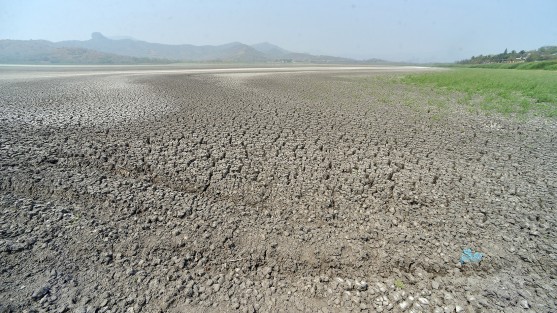 Además, esta zona es la ruta de aves migratorias <em>esto es cada vez peor, cada vez se está secando más y más. Otro mes si no llueve, esto va a quedar sin nada</em>, dice mientras recorre el desolado panorama. 
