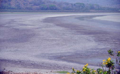 El clima está muy mal y estamos viendo si el agua tratada de la planta nuclear se pueda verter hacia la laguna o el agua del mar. Es una idea de pescadores y estamos a la espera de las dependencias