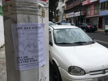 Aspirantes a candidaturas siguen promoviéndose.  