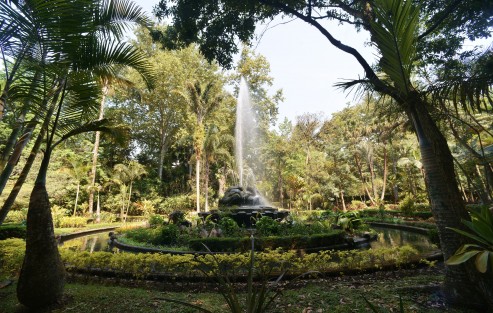 Así lució este día de la tierra, el parque Los Tecajetes, un lugar que por muchos años ha tratado de conservar algunas especies de animales y vegetación de la  zona montañosa de Veracruz  y sus alrededores. 