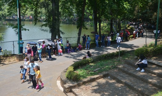 A diferencia de los otros días de vacunación a personal del sistema educativo, este viernes el proceso ha sido extremadamente lento, presuntamente por la falta de vacunas en las sedes de la ciudad de Xalapa. La fila para las letras S y T llegaba hasta Los Lagos.  