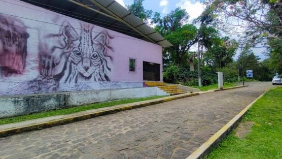 Como parte de las acciones de mejora y embellecimiento de los espacios públicos de la comunidad de Santa Rosa, el H. Ayuntamiento de Teocelo, a través de la Dirección de Turismo y Cultura, realizan el mural de arte urbano de la identidad teocelense en la fachada del salón social de Santa Rosa.