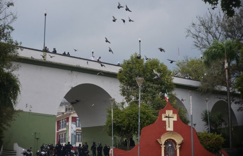 Un hombre de aproximadamente 50 años perdió la vida luego de arrojarse del  puente Xallitic, en el centro de Xalapa.  Paramédicos de la SSP nada pudieron hacer debido a la gravedad de las lesiones. Personal de la Fiscalía acudió a recoger el cuerpo del hoy occiso.