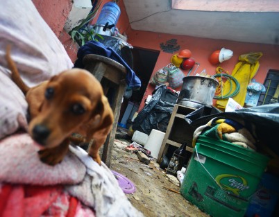 Vecinos de la calle División del Norte, justo frente al Bachilleres Unidad Trabajo, de la colonia Revolución, perdieron todo, por lo que piden a la población en general y autoridades, les ayuden con despensas y colchones para poder pasar la noche. 