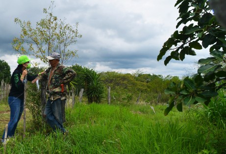 Mara Chama Villa, candidata a la alcaldía de Teocelo, recorrió hoy las comunidades de Tejería y Monte Blanco, solicitando casa por casa el voto para las próximas elecciones del 6 de Junio.  