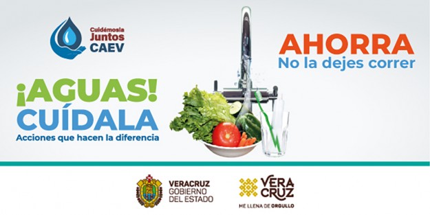 http://www.veracruz.gob.mx/proteccioncivil/      .