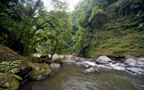 Desde los municipios de Teocelo y Xico, se puede llegar a la cascada de Texolo antes de entrar al municipio de Teocelo. Justo al lado del módulo de policía hay un camino real que conduce a la comunidad de Santa Rosa  ya que el camino de adoquín por ahora se encuentra en mantenimiento, desde ahí se puede tener una vista  desde lo alto de la barranca. 