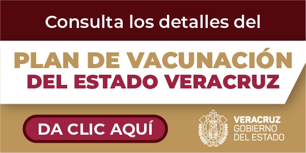 http://coronavirus.veracruz.gob.mx/plan-de-vacunacion-contra-covid-19