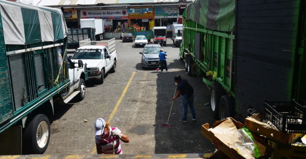 Habitantes de comunidades de Xalapa y municipios aledaños acudieron a realizar limpieza en la Central de Abasto de Xalapa, convocados por locatarios quienes pagarán su faena con productos. 