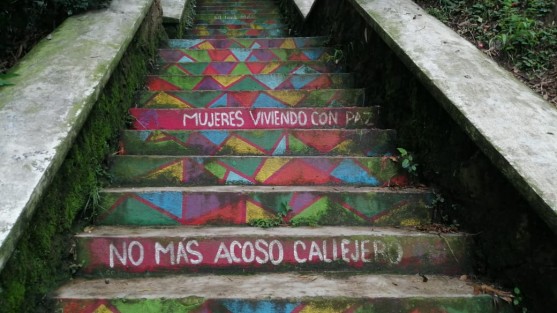 Rosa Edith Solano, vecina de esta colonia, comenta que hace tiempo se pintaron en los escalones consignas para evitar las agresiones, y en efecto se frenaron en algo, pero actualmente las mismas han regresado. 