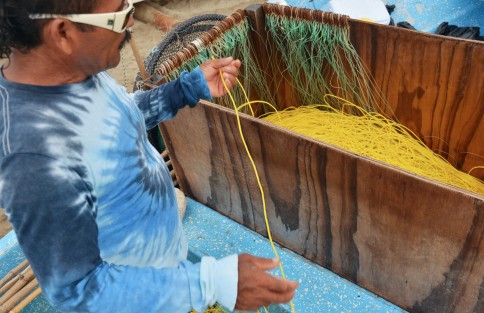 Las lanchas que se encuentran a la playa ofrecen su servicio a los turistas para llevarlos  a conocer las diferentes lugares del sitio, sin embargo al ser temporada baja ellos también realizan la pesca con la técnica lo que llaman la tarima, que es colocar una cuerda muy larga con muchos anzuelos.