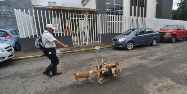 Este martes se esperaba la presencia del depuesto candidato a la alcaldía de Veracruz por el PRI-PAN-PRD, Miguel Ángel Yunes Márquez en los juzgados de Pacho Viejo, sin embargo, a diferencia de otros, él no llegó. 