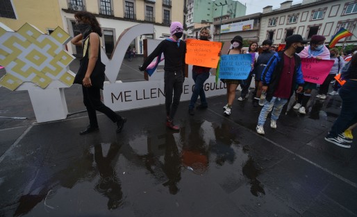 En la ciudad de Xalapa, se realizó la primera marcha Lenchotransmarica para exigir respeto a los derechos humanos y un alto a los crímenes de odio y visibilidad a la comunidad LGBTTTIQ+ marchando desde el teatro del Estado y hasta la plaza Lerdo.