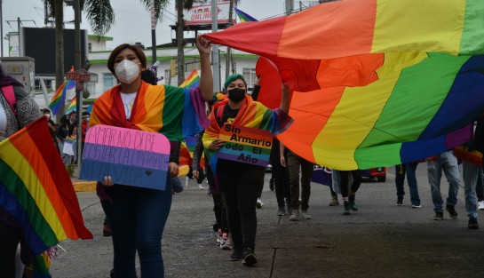 En la ciudad de Xalapa, se realizó la primera marcha Lenchotransmarica para exigir respeto a los derechos humanos y un alto a los crímenes de odio y visibilidad a la comunidad LGBTTTIQ+ marchando desde el teatro del Estado y hasta la plaza Lerdo.