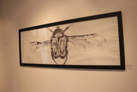 En la Galería Ramón Alva  de la Canal de la Universidad Veracruzana fue inaugurada la Exposición Anual de Estudiantes de la Facultad de Artes Plásticas, donde exhiben más de 40 estudiantes de esta casa de estudios.