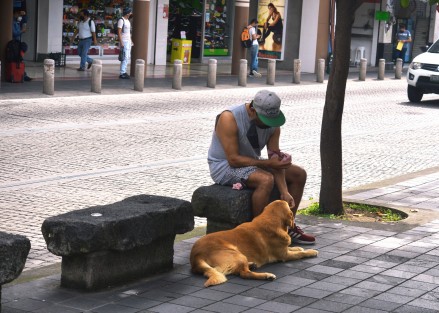 Mientras en algunas partes de la ciudad una persona envenena perros y gallinas, por el centro de la ciudad de Xalapa un hombre comparte sus galletas con su amigo, mientras otros hasta pagan para que paseen a sus mascotas.