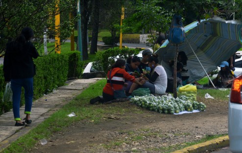 Una familia completa vende limones para sobrevivir a estos tiempos tan complicados económicamente.
