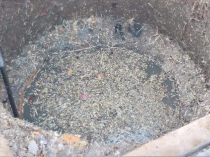 Sin embargo los trabajadores de la Dirección de Agua y Saneamiento del Municipio de Tlapacoyan se han encontrado con casos donde los problemas son claramente causados por los mismos afectados, como el caso de una familia dedicada a la venta de pollo, quienes se inundaron por aguas negras tras una intensa lluvia, motivado porque el drenaje estaba atascado de plumas de pollo que ellos mismos tiraron ahí.  