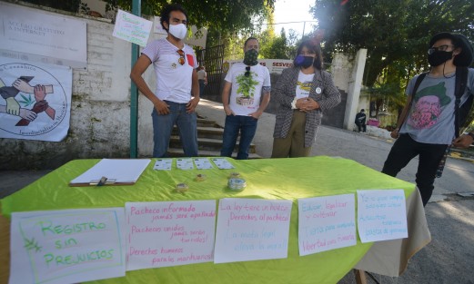 Integrantes del Colectivo Cannábico Interdisciplinario Mexicano instalaron un  módulo informativo en la entrada de las oficinas de la Secretaría de Salud en Xalapa, donde también solicitan se establezcan de una vez los lineamientos para el consumo, luego de que el consumo de la hierba fuera despenalizado.  