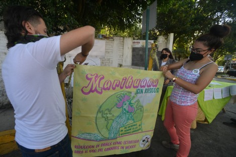 Integrantes del Colectivo Cannábico Interdisciplinario Mexicano instalaron un  módulo informativo en la entrada de las oficinas de la Secretaría de Salud en Xalapa, donde también solicitan se establezcan de una vez los lineamientos para el consumo, luego de que el consumo de la hierba fuera despenalizado.  