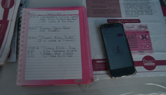 A unos días de realizarse aflora la propaganda para invitar a participar en la consulta popular, presuntamente para solicitar el juicio a ex presidentes, aunque la manera en que se formula la pregunta sea confusa para la mayoría de la población.  