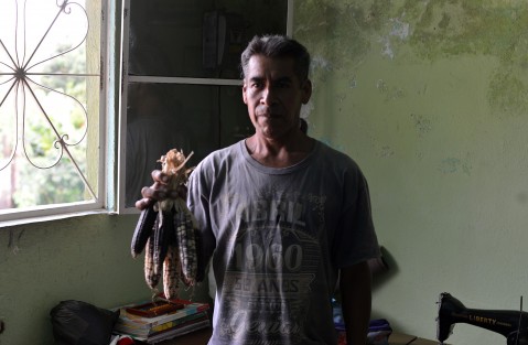 En la comunidad de Pueblo Viejo, municipio de Misantla, doña Julia y sus cuatro hijos conservan la tradición de  sembrar maíz negro, del cual, a decir de la familia Salazar, cada vez es más difícil encontrar semilla para resembrar, debido a que las tortillerías  y la maseca ganan terreno día con día.