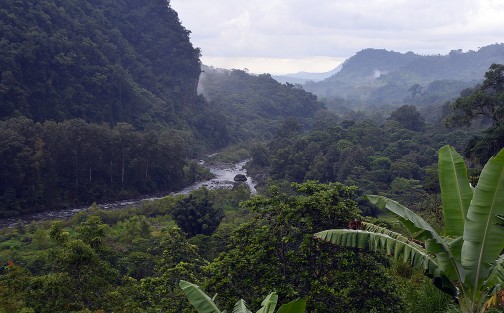En medio de la sierra se encuentra Pueblo Viejo, una comunidad que sobrevive de las bondades de la tierra y remesas que mandan sus familiares de Estados Unidos, y es que al igual que en muchos municipios, el campo ha sido dejado de la mano de los gobiernos.