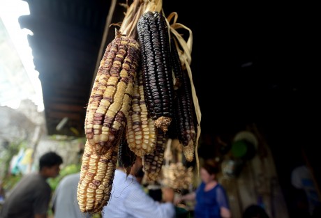 Calabazas, frijol, capulines, maíz, son algunos productos que día con día se consumen en esta región, que para fortuna de sus habitantes se siguen recolectando en sus campos.