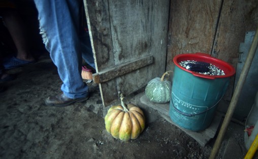 Calabazas, frijol, capulines, maíz, son algunos productos que día con día se consumen en esta región, que para fortuna de sus habitantes se siguen recolectando en sus campos.