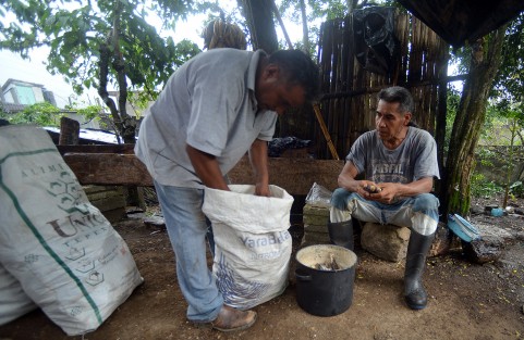 Calabazas, frijol, capulines, maíz, son algunos productos que día con día se consumen en esta región, que para fortuna de sus habitantes se siguen recolectando en sus campos.